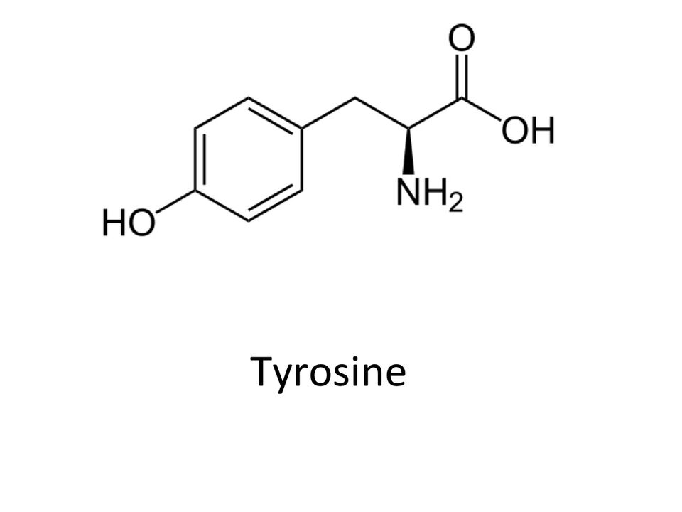 Tyrosin am Abslim