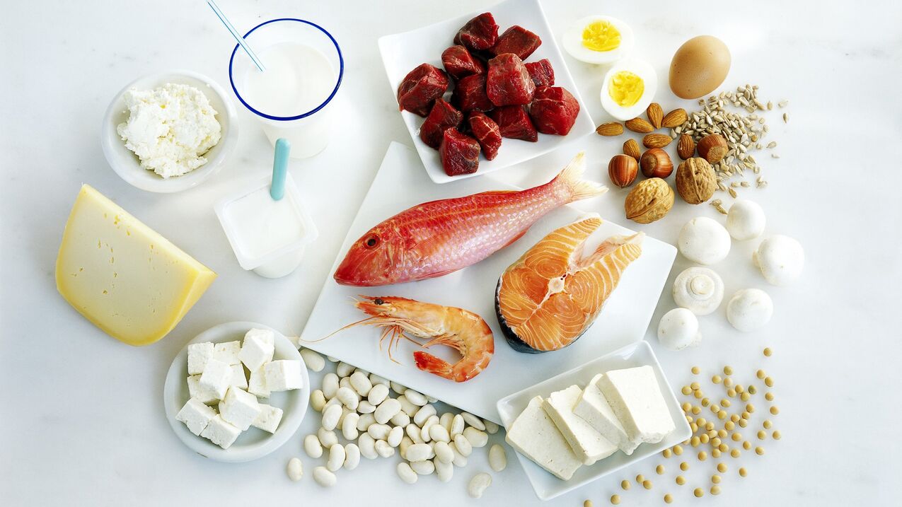 Protein Produkter